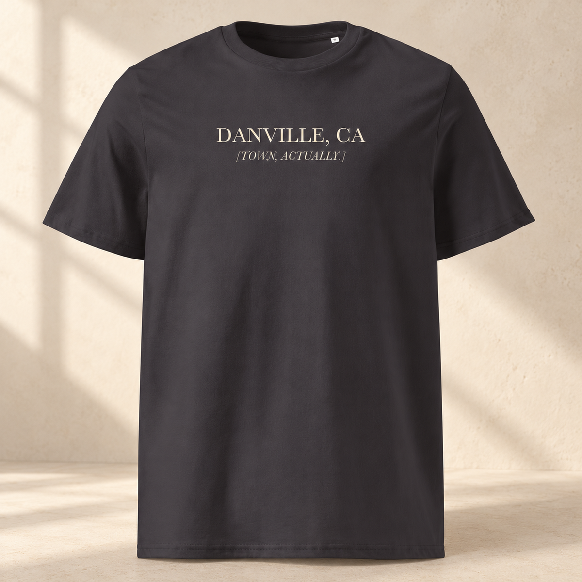 Danville, Town Actually [Brackets] | Originals Organic Tee — studio view, Anthracite