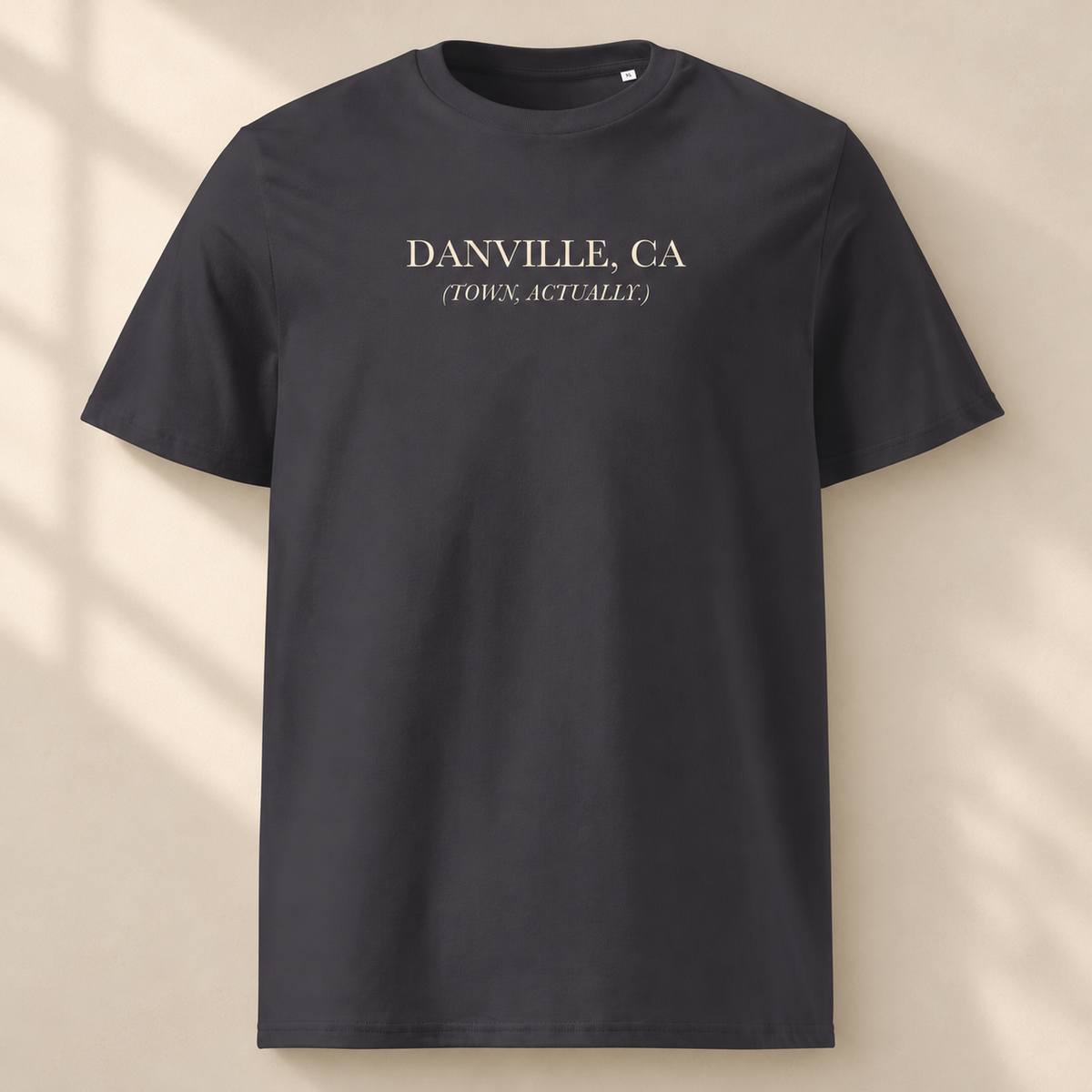 Danville, Town Actually (Parentheses) | Originals Organic Tee — studio view, Anthracite